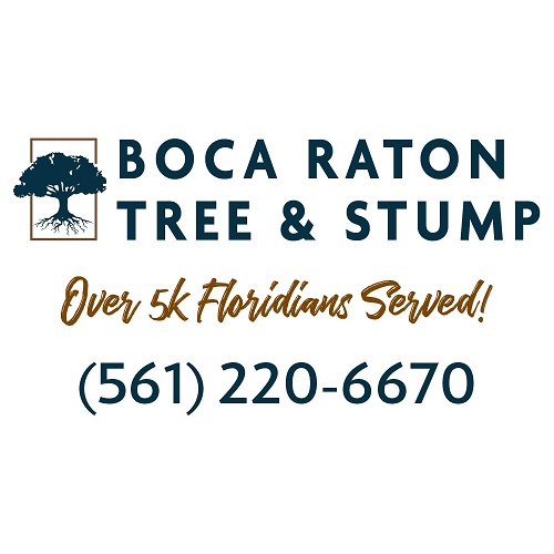Boca Raton Tree and Stump Logo