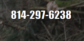 Tree Service Erie PA Logo