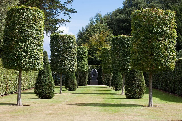 Green Tree Service Decatur Image