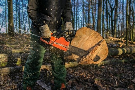 Green Tree Service Decatur Image