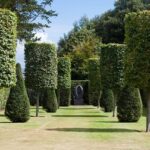 Green Tree Service Decatur Image