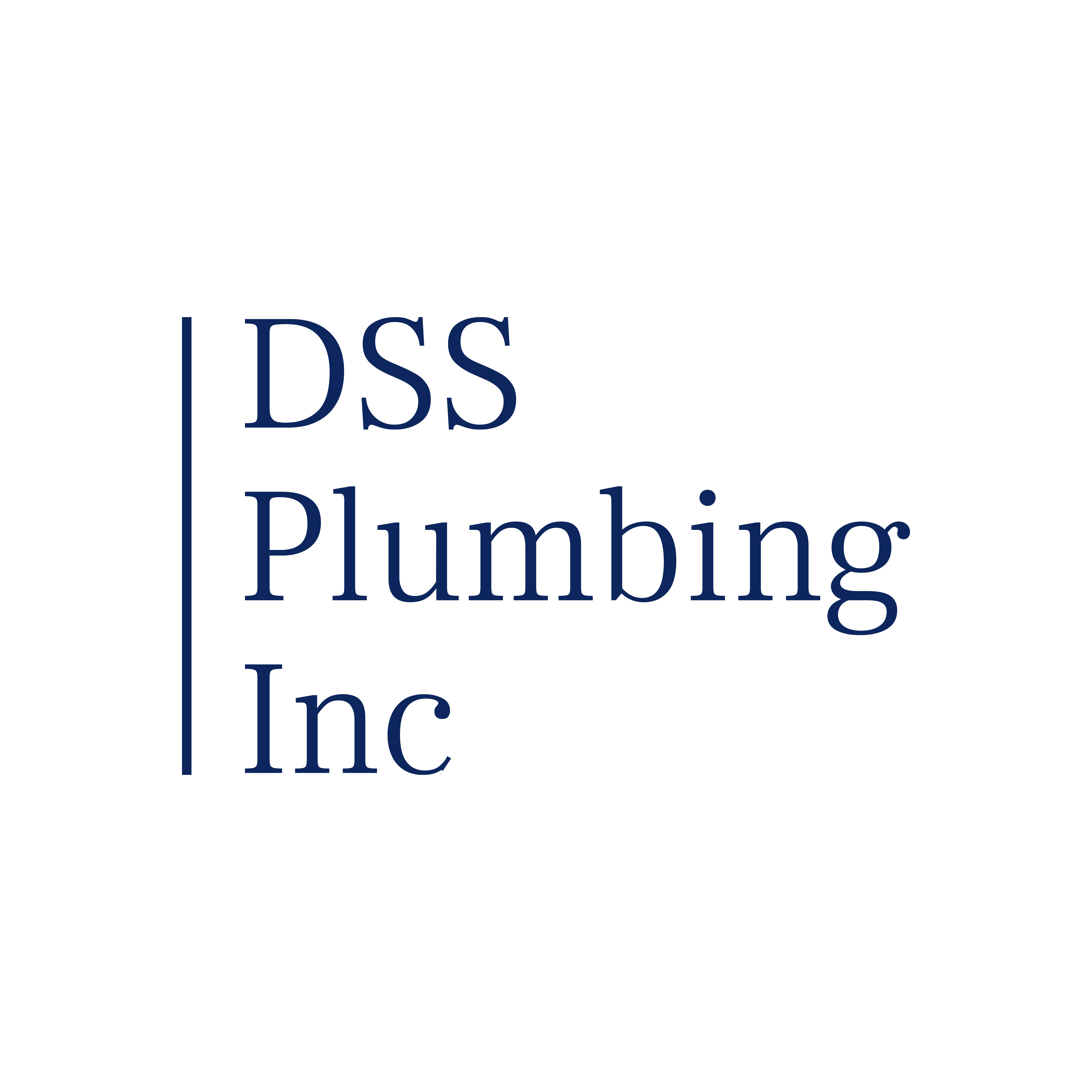 DSS Plumbing Inc Logo