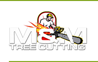 Bronx Tree Cutting Company At Unbeatable Prices Logo