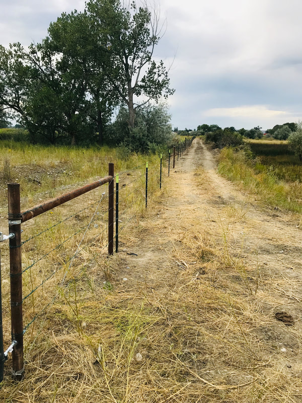 Billings Agricultural Fencing Pros Image