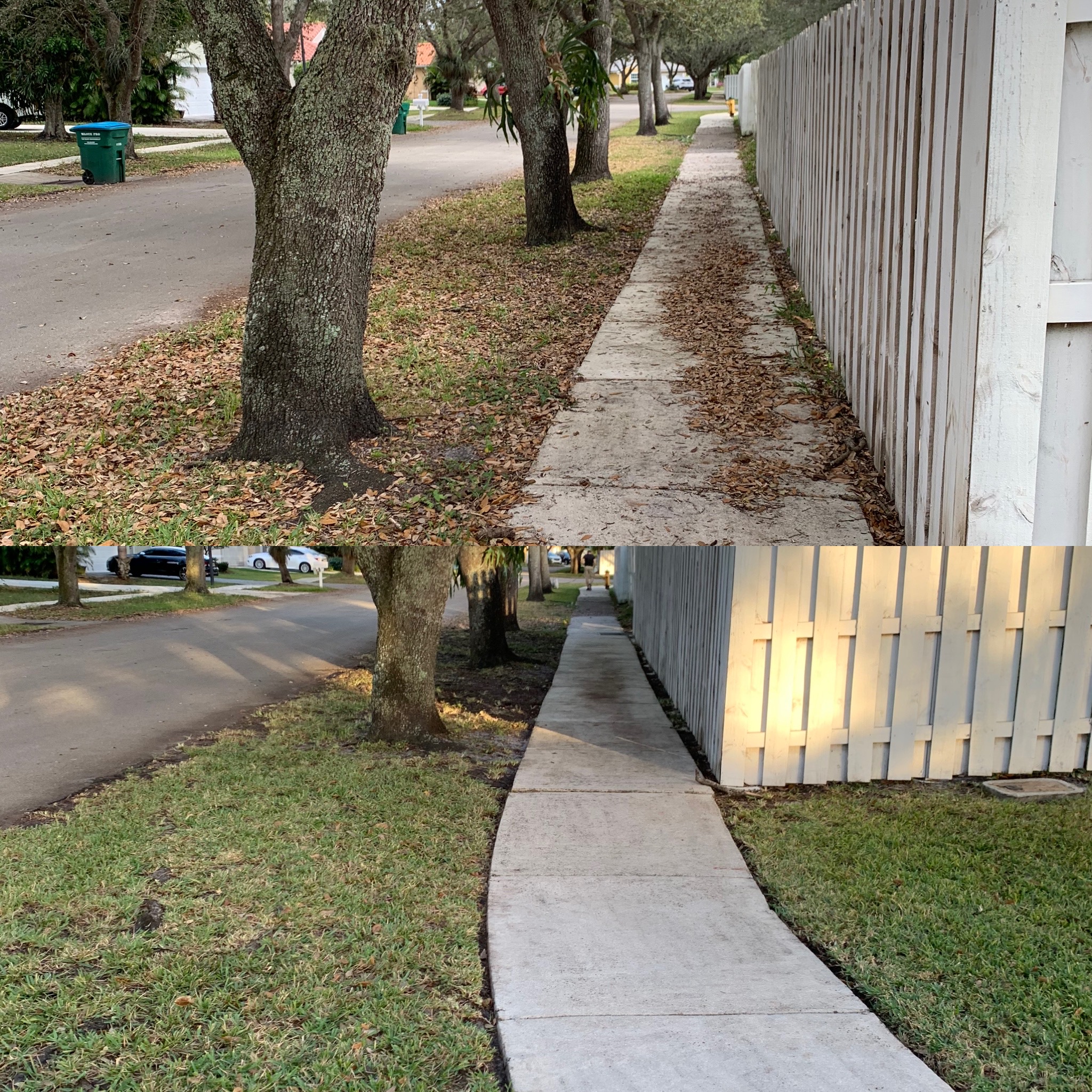 The Green King Landscaper Image