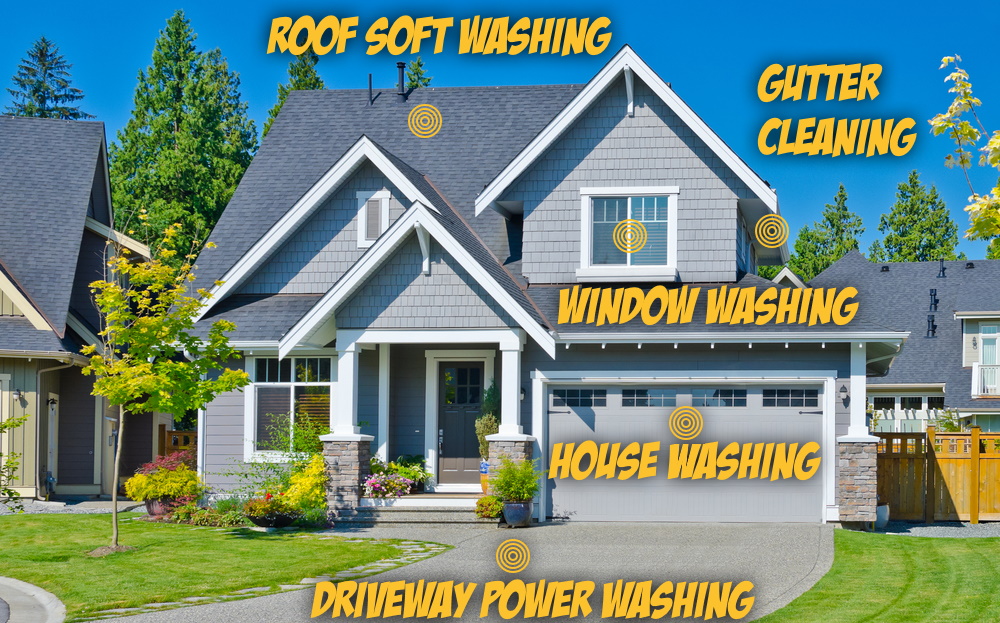 Chicago Racoons - Window & Power Washing Image