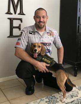 All American Pest Services Termites & Bed Bug Removal Image