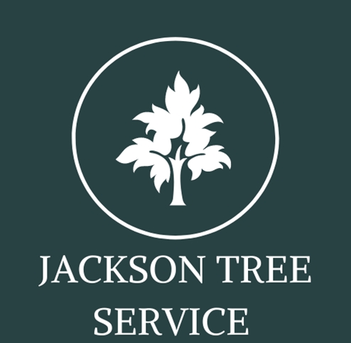 Jackson Tree Service Logo