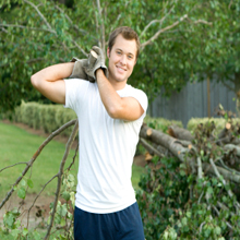 Adrian's Tree Service Image