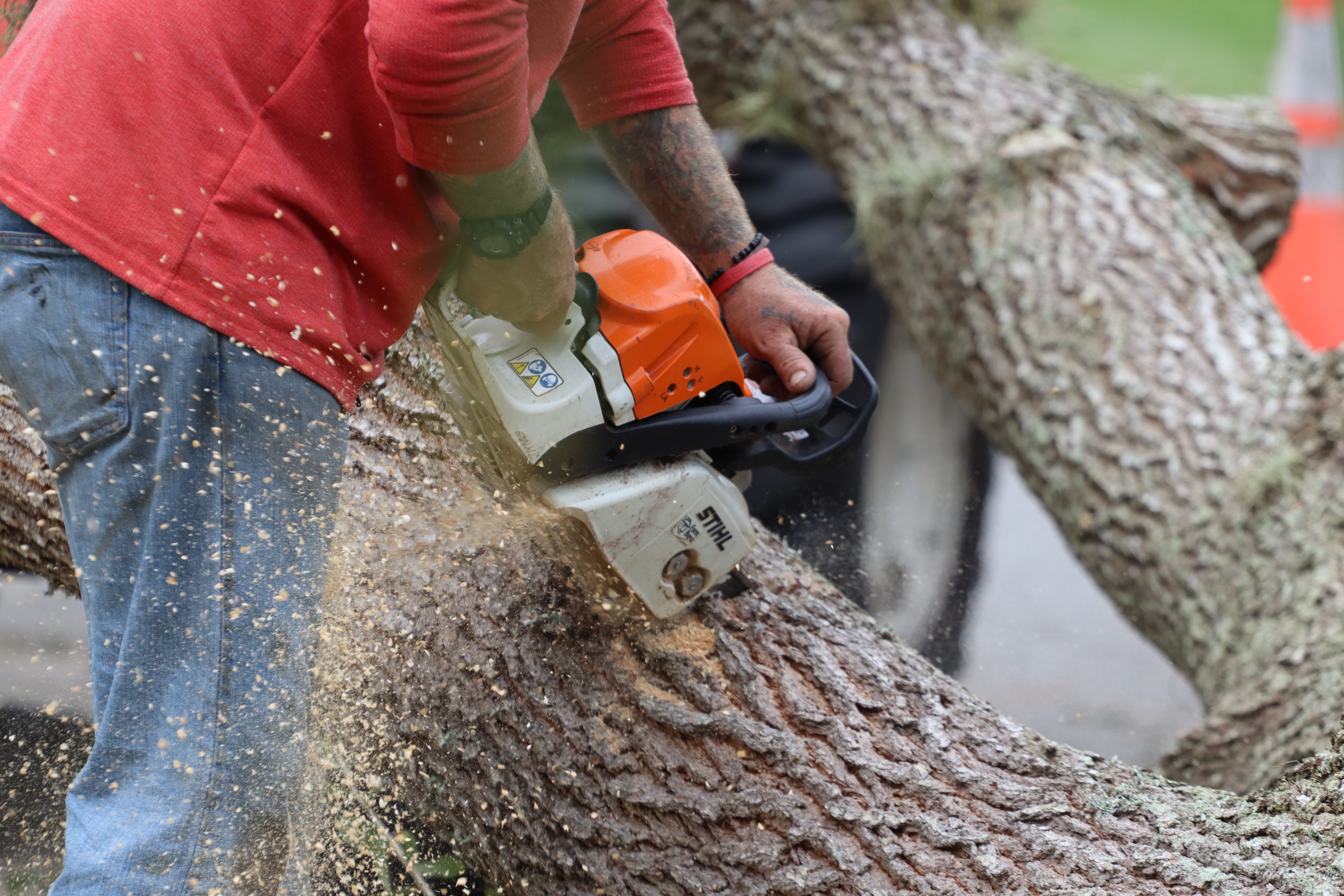 Suburban Tree Service Image