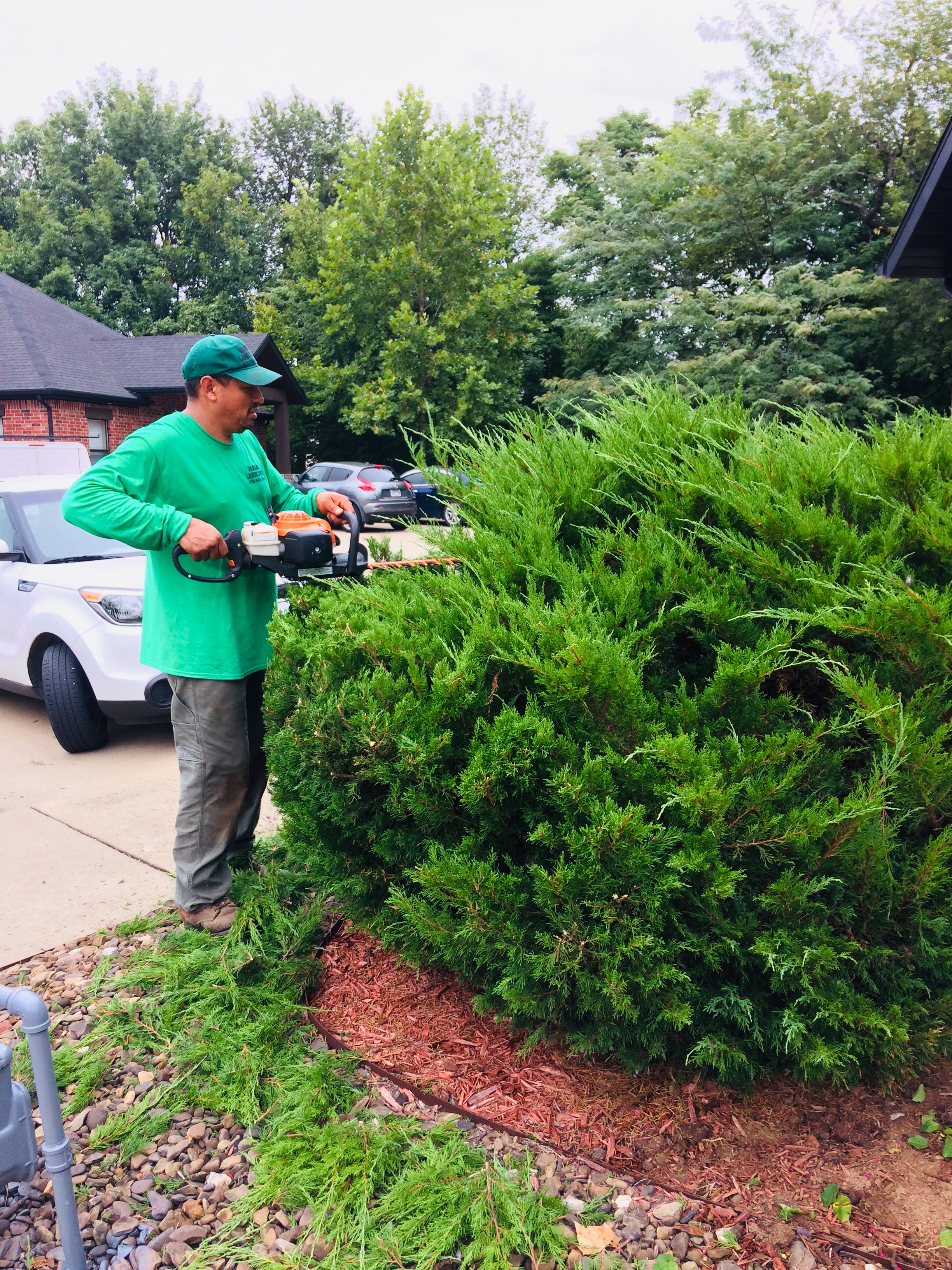 Vargas landscaping Image