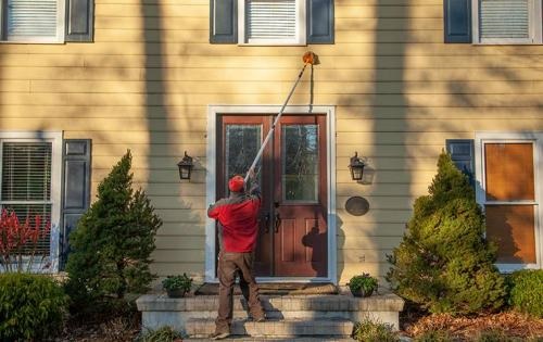 Go-Forth Pest Control Image