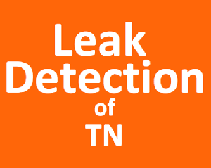 Leak Detection of Tennessee Logo