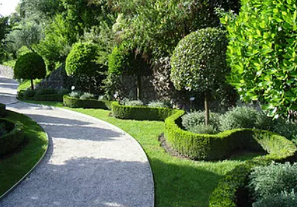 Mama Tree Service Image