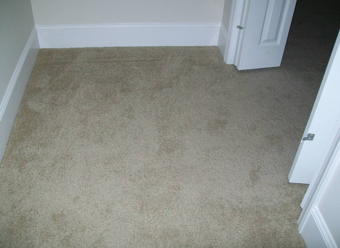 North Hollywood Carpet Cleaning Image