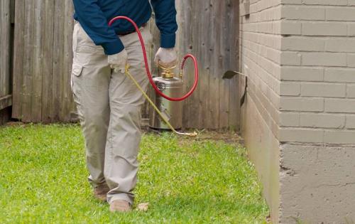 Green Flash Pest Control Image