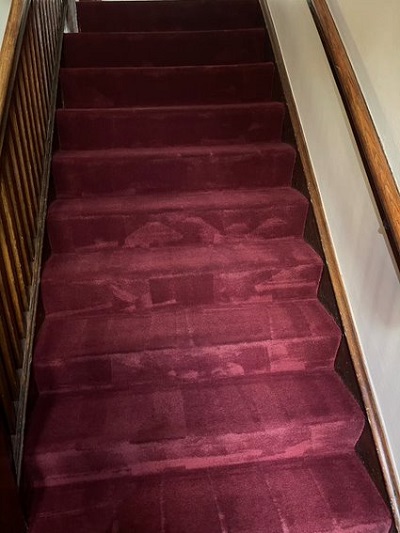 Green Steam Upholstery & Carpet Cleaning Image