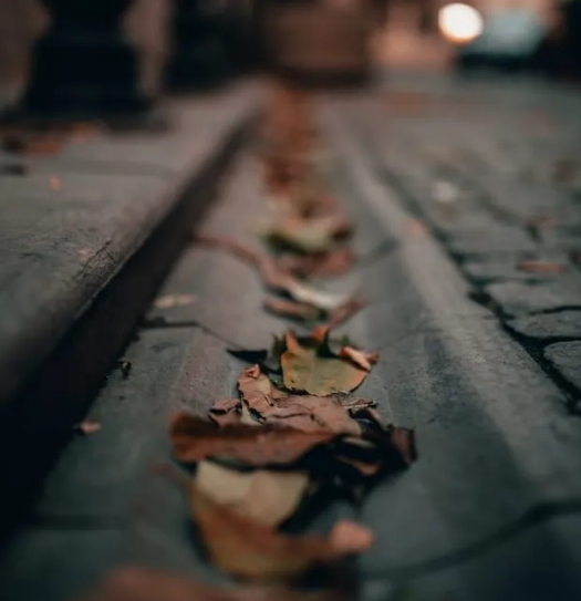 Birmingham Gutter Cleaner Company Image