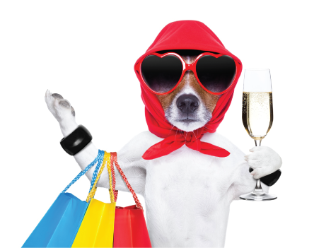 Dazzle Cleaning - Scottsdale Image