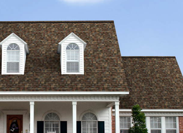 Patriot Pros Roofing Image