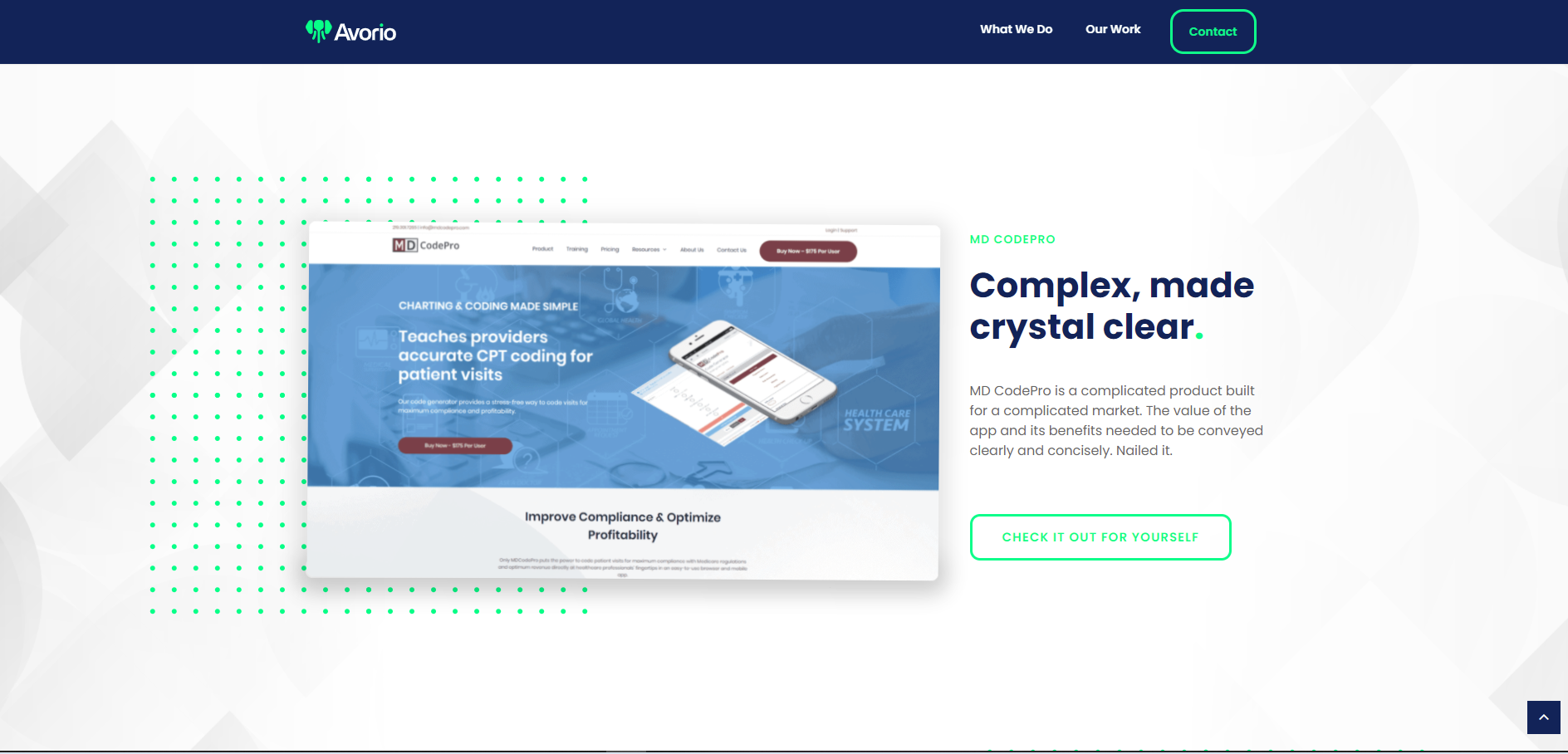 Avorio Digital Marketing Image