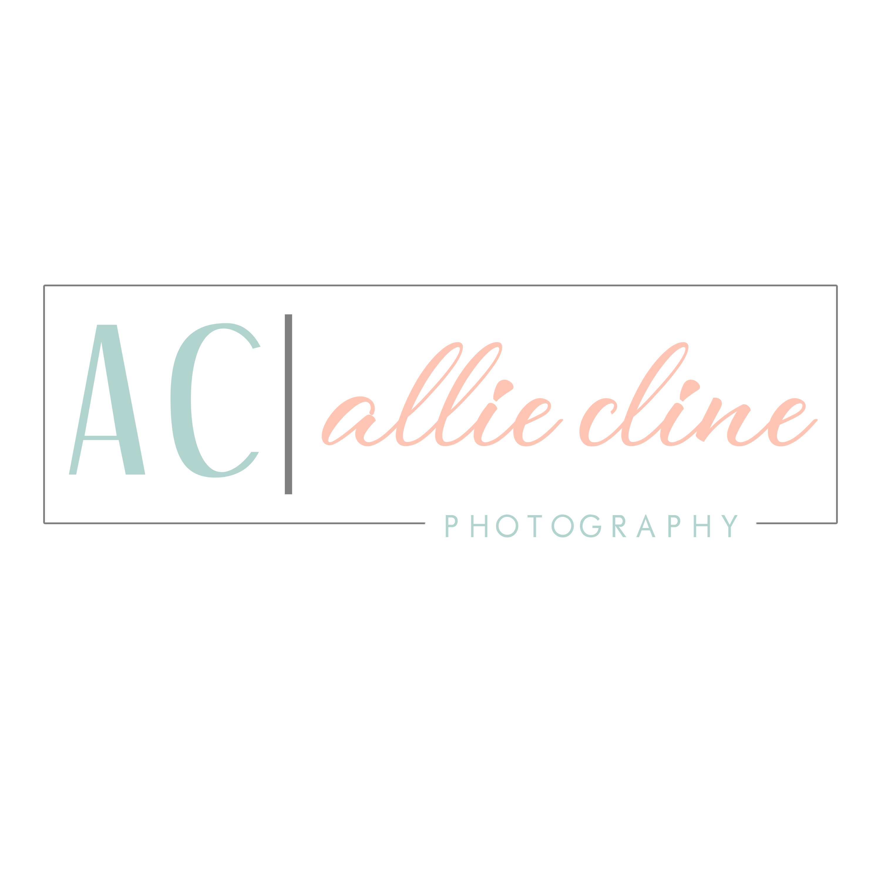 Allie Cline Photography Logo