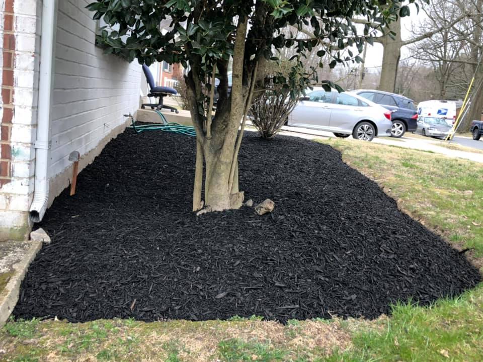 RG Landscaping Services Image