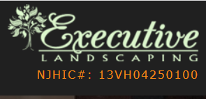 Executive Landscaping Solutions Logo