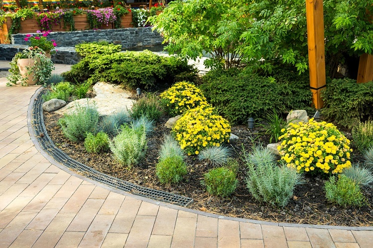 Rolando Aquilar Landscaping Image