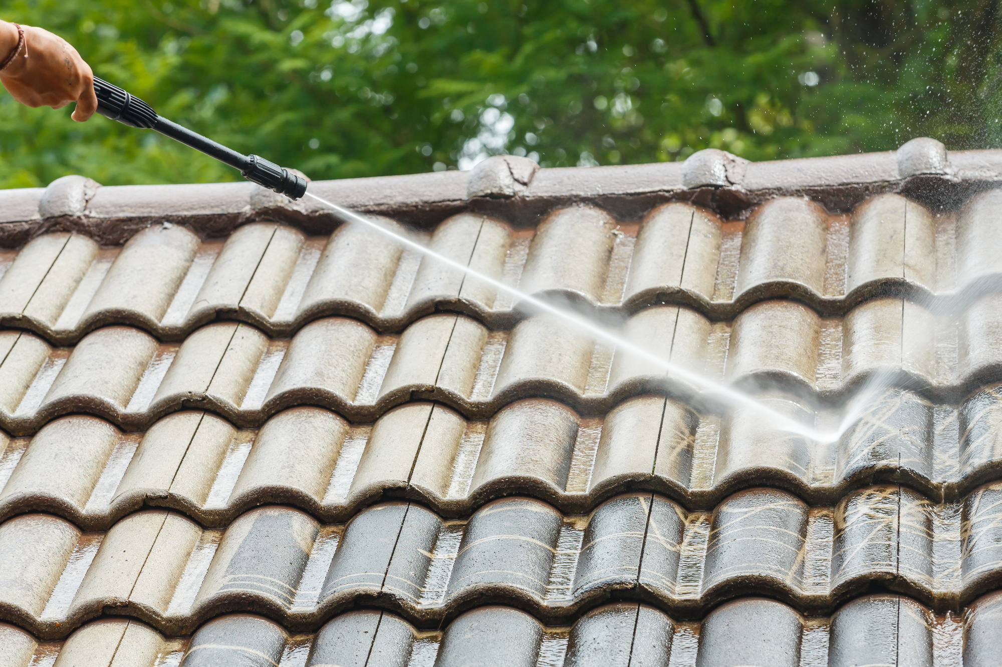 Island Roof and Gutter Cleaning Image