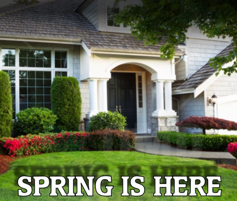 Lawn Care Spring Service Image