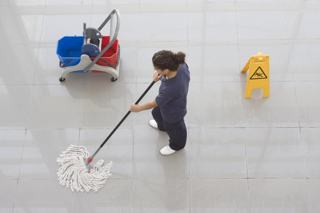 Meticulously cleaning of Roseville Image