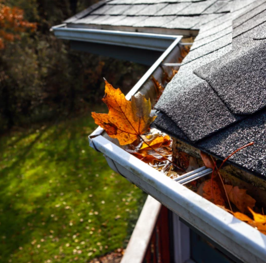 Gutter Cleaning Detroit Logo