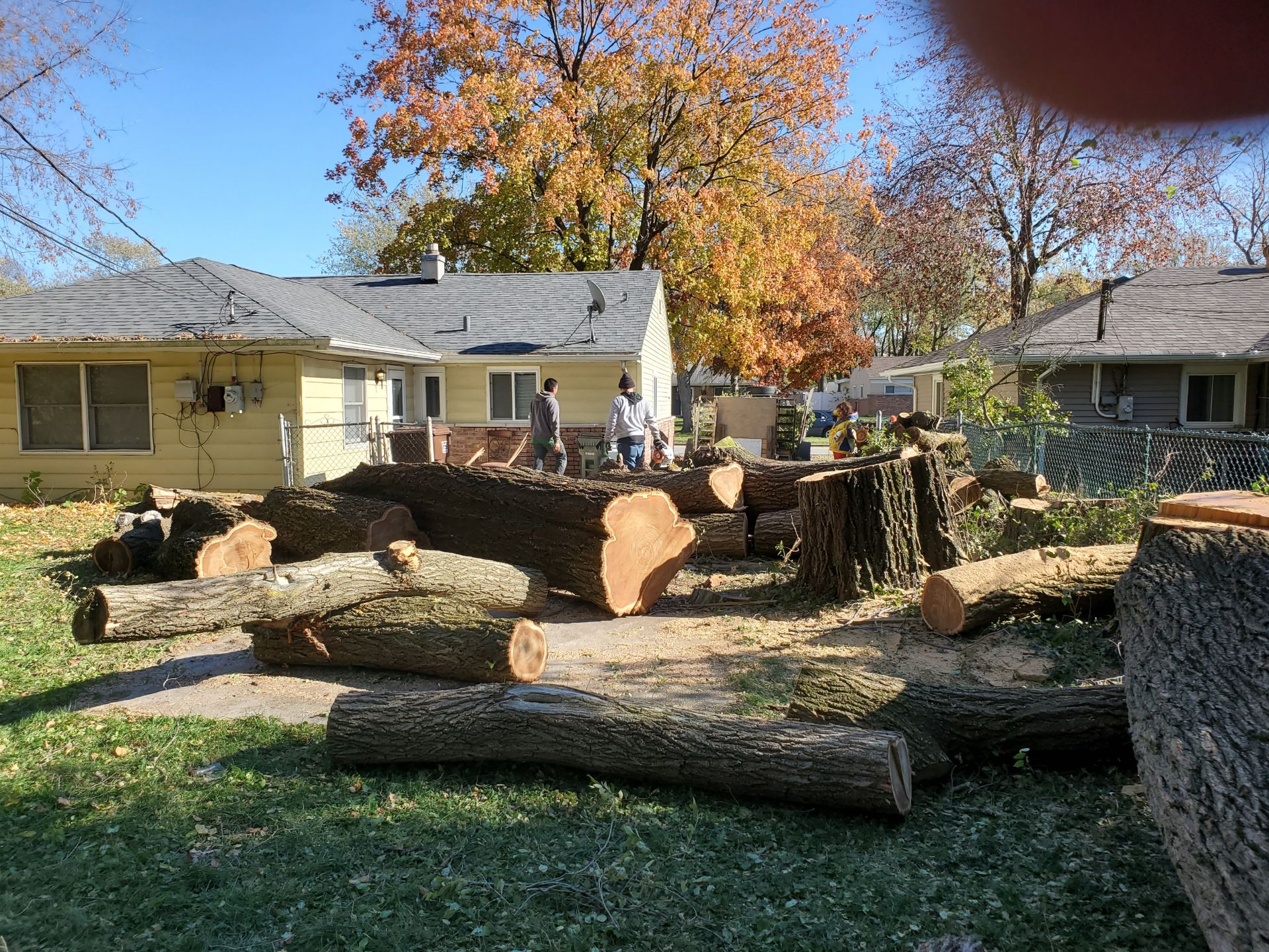 Mid City Tree Service Image