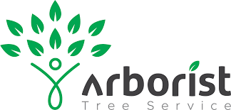 Tree Cutting & Trimming Oceanside Image