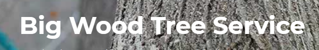 Big Wood Tree Service Logo