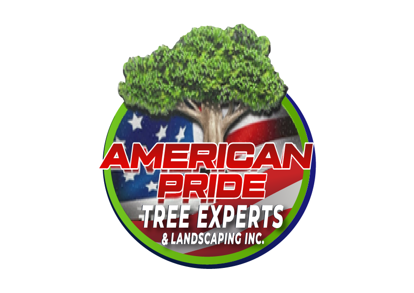 American Pride Tree Experts  &amp; Landscaping INC Logo
