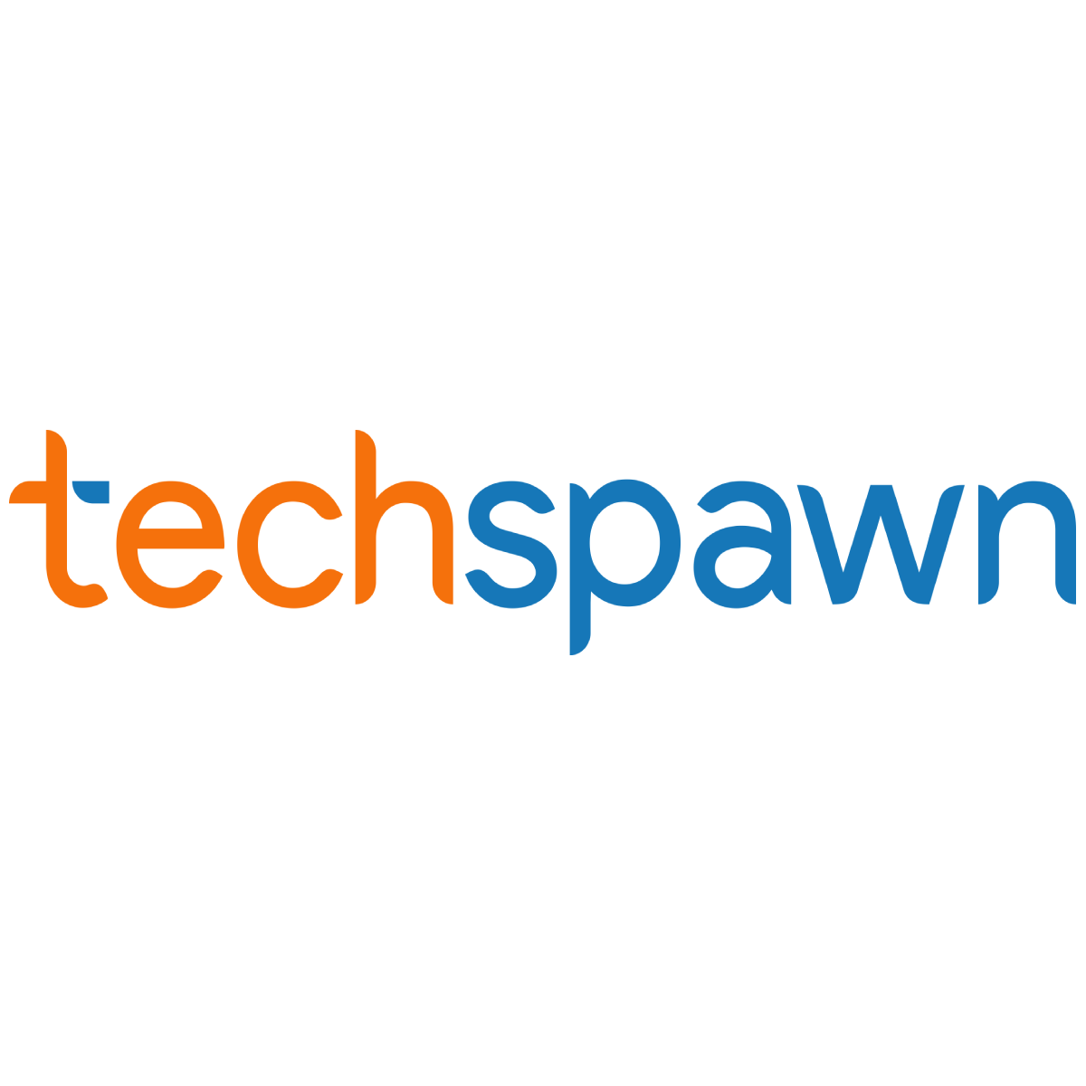 Techspawn Inc. Logo