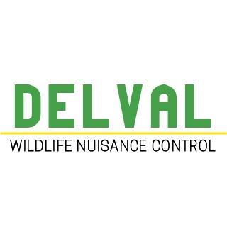 DelVal Wildlife Nuisance Control Logo
