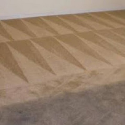 Hoffman Carpet Cleaner Image