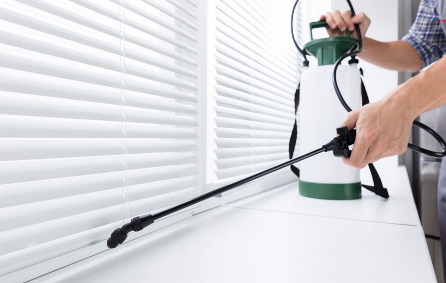 Riverside Pest Control Solutions Image