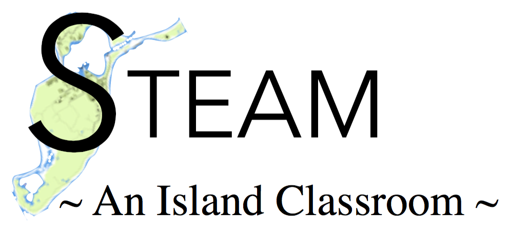 Cuttyhunk STEAM Academy Logo