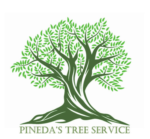 PINEDAS TREE SERVICE Logo
