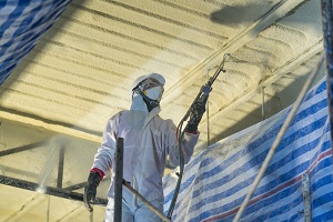 Bay Area Spray Foam Insulation Image