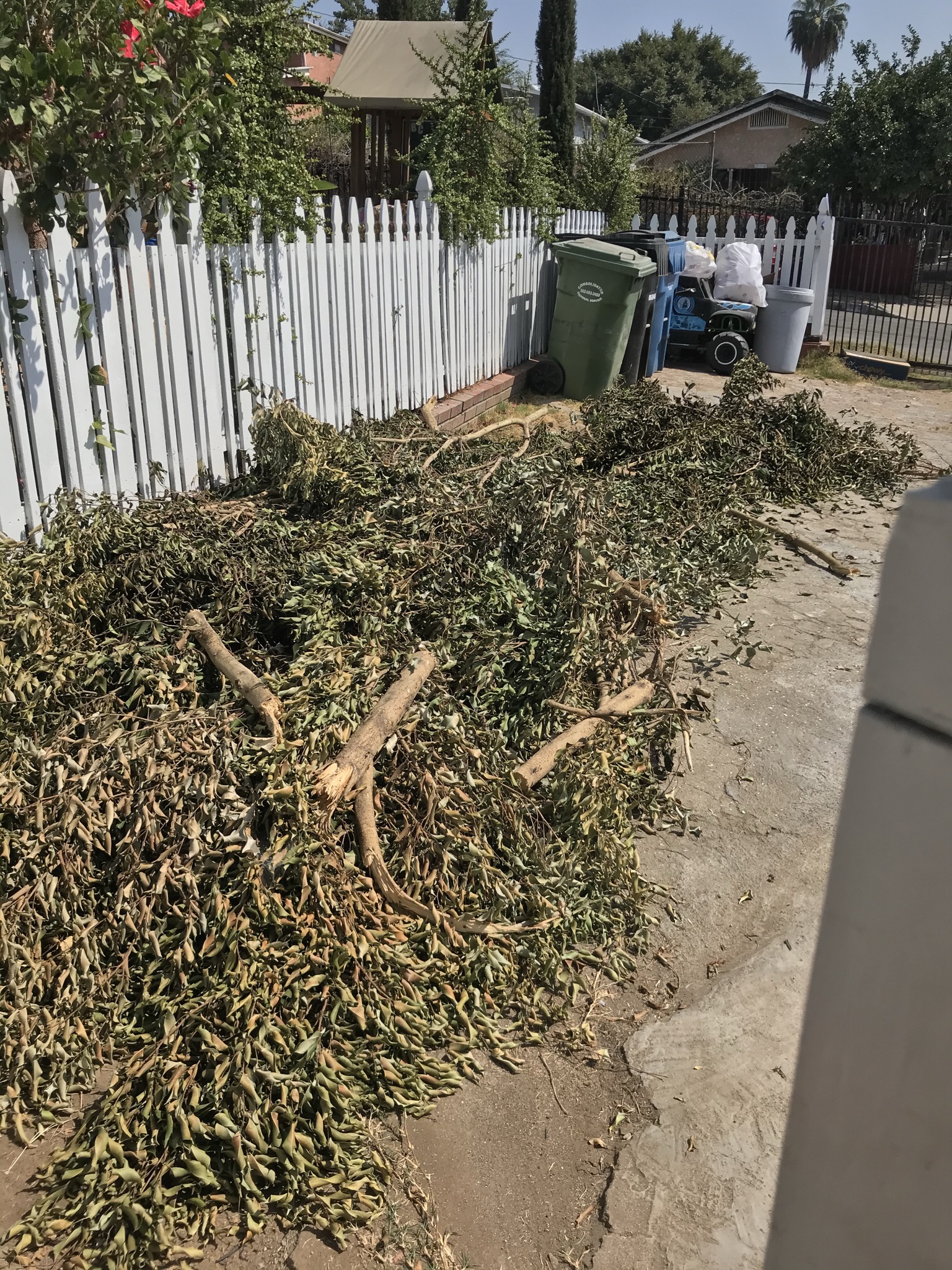 Eco-Friendly Farmers Image