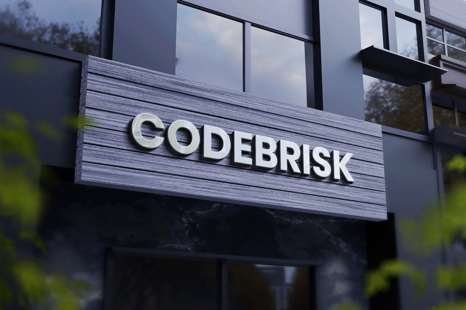 CodeBrisk Image