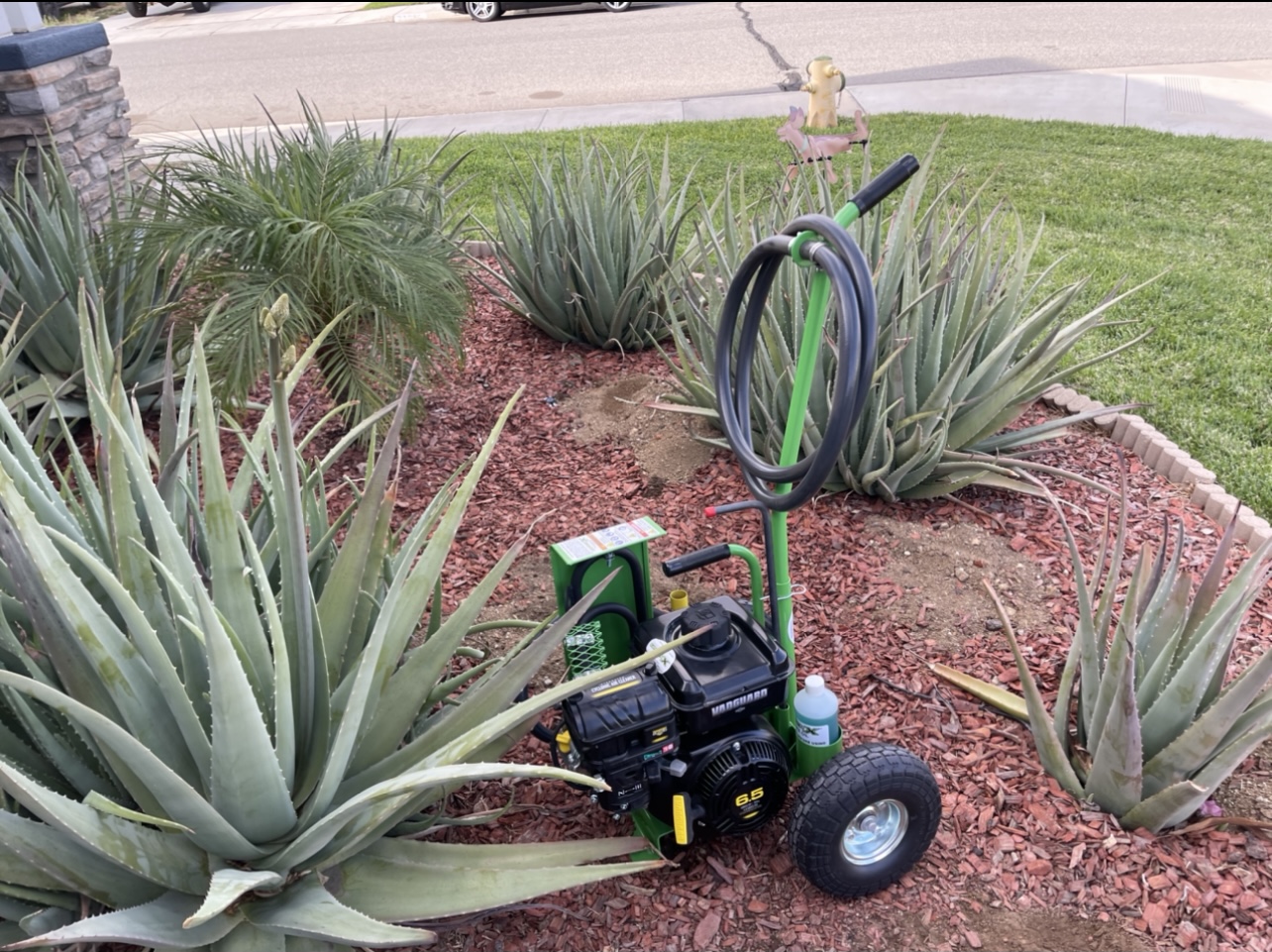 Aloha Gopher and Pest Image