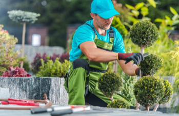 Landscaping Blossom Image