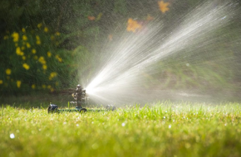 Landscaping Blossom Image