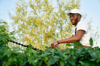 Landscaping Blossom Image